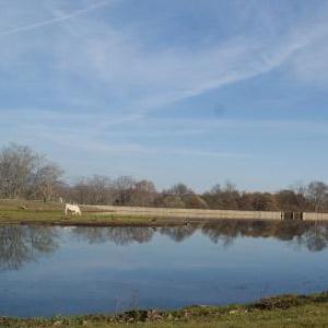 Imagen Pantano de Las Navas